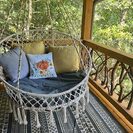 Log Cabin With Mountain View And Privacy بلو ريدج المظهر الخارجي الصورة