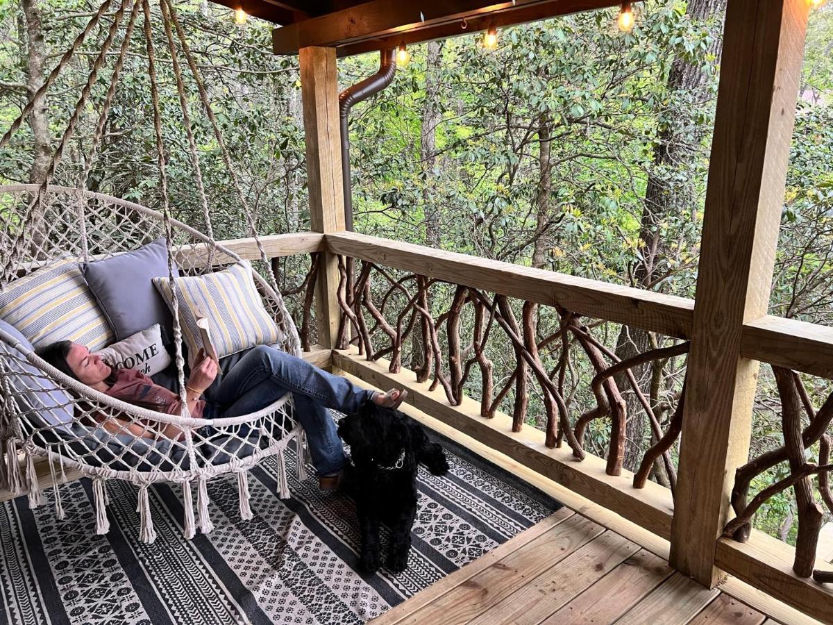 Log Cabin With Mountain View And Privacy بلو ريدج المظهر الخارجي الصورة