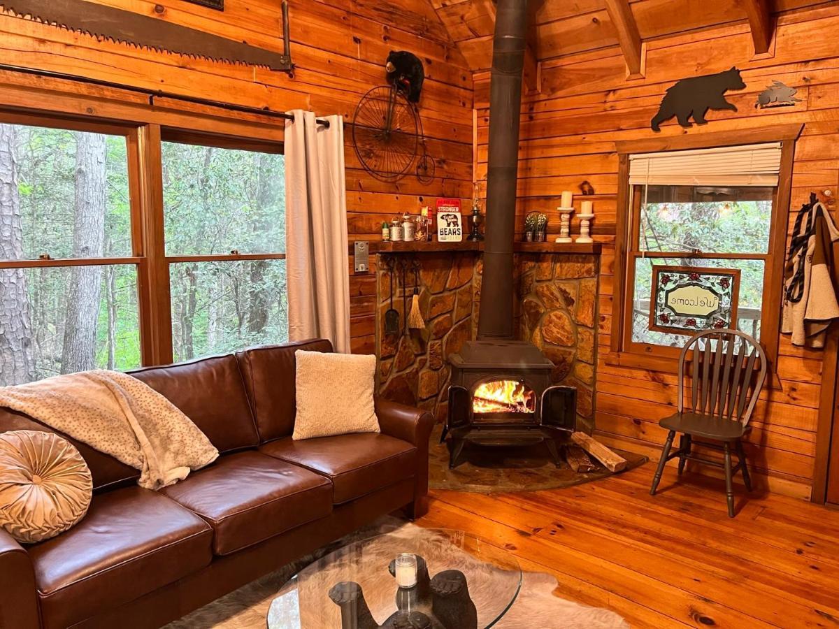 Log Cabin With Mountain View And Privacy بلو ريدج المظهر الخارجي الصورة