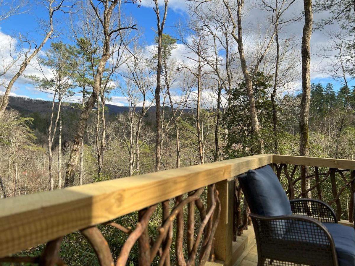 Log Cabin With Mountain View And Privacy بلو ريدج المظهر الخارجي الصورة