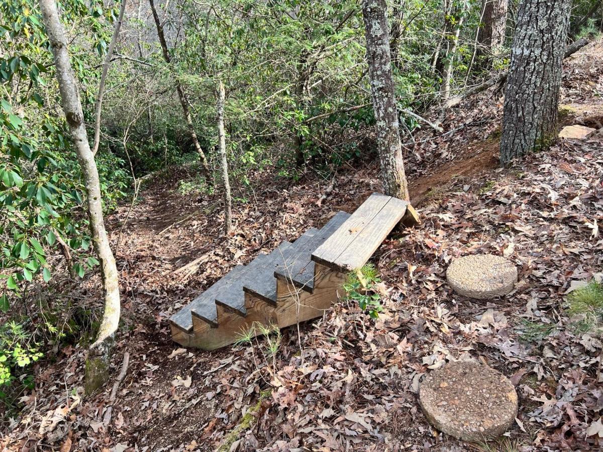 Log Cabin With Mountain View And Privacy بلو ريدج المظهر الخارجي الصورة