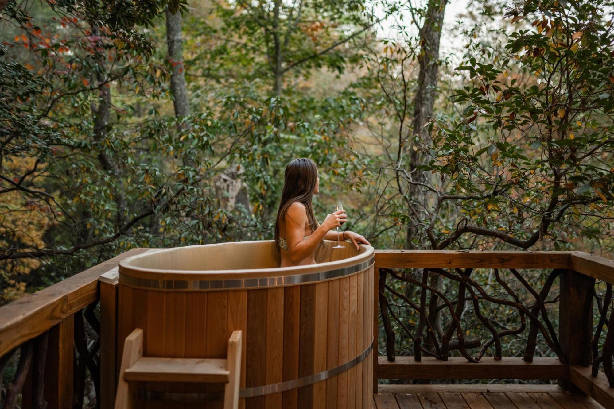Log Cabin With Mountain View And Privacy بلو ريدج المظهر الخارجي الصورة