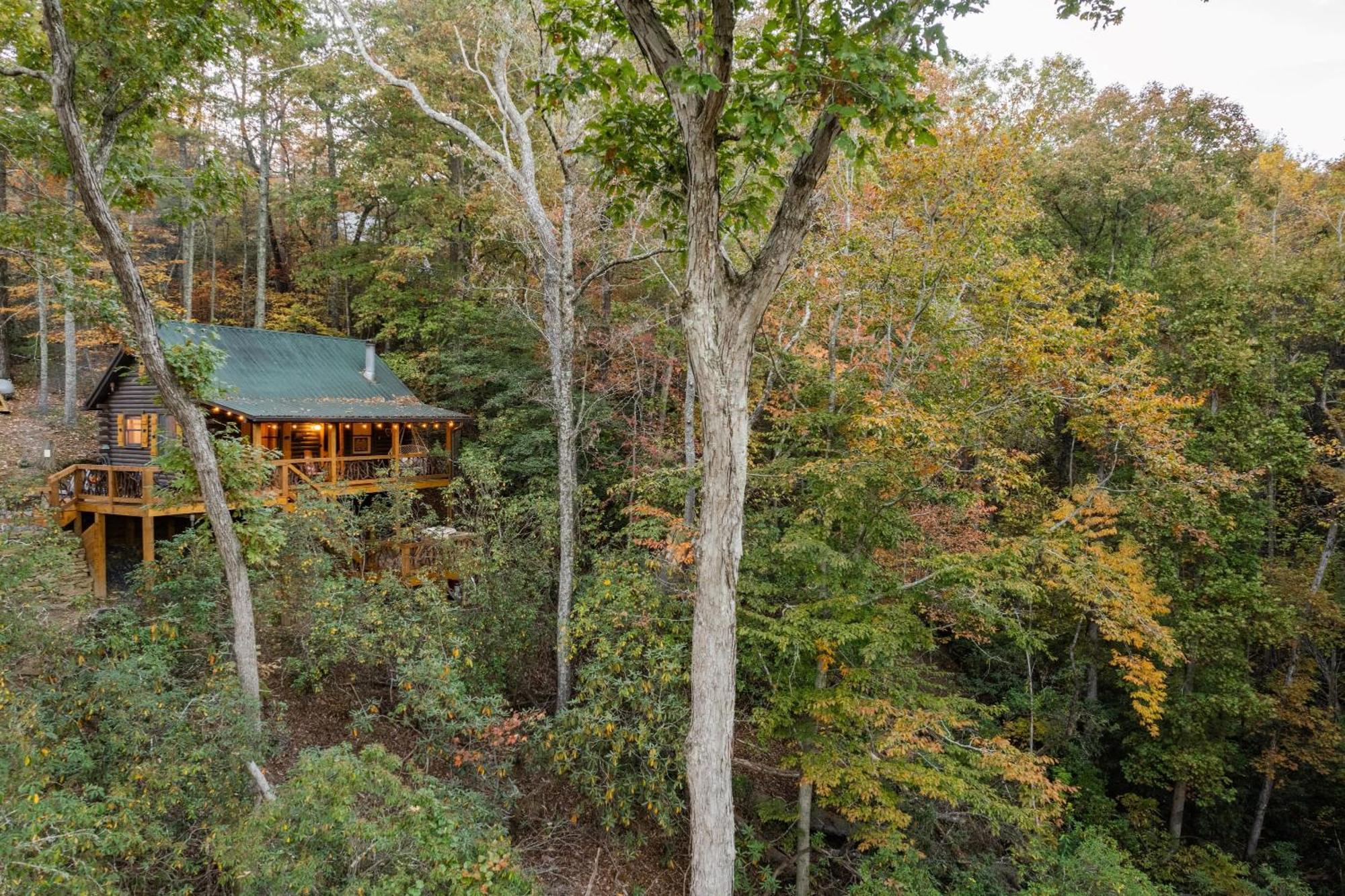 Log Cabin With Mountain View And Privacy بلو ريدج المظهر الخارجي الصورة